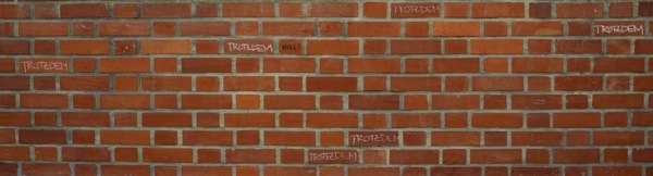 trotzdem.jpg Trotzdem, trotzdem nicht!
